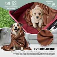 PetCruze - 2-in-1 Hondenbuggy & Draagtas
