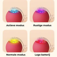SmartHunt™ – Interactief Speelgoed