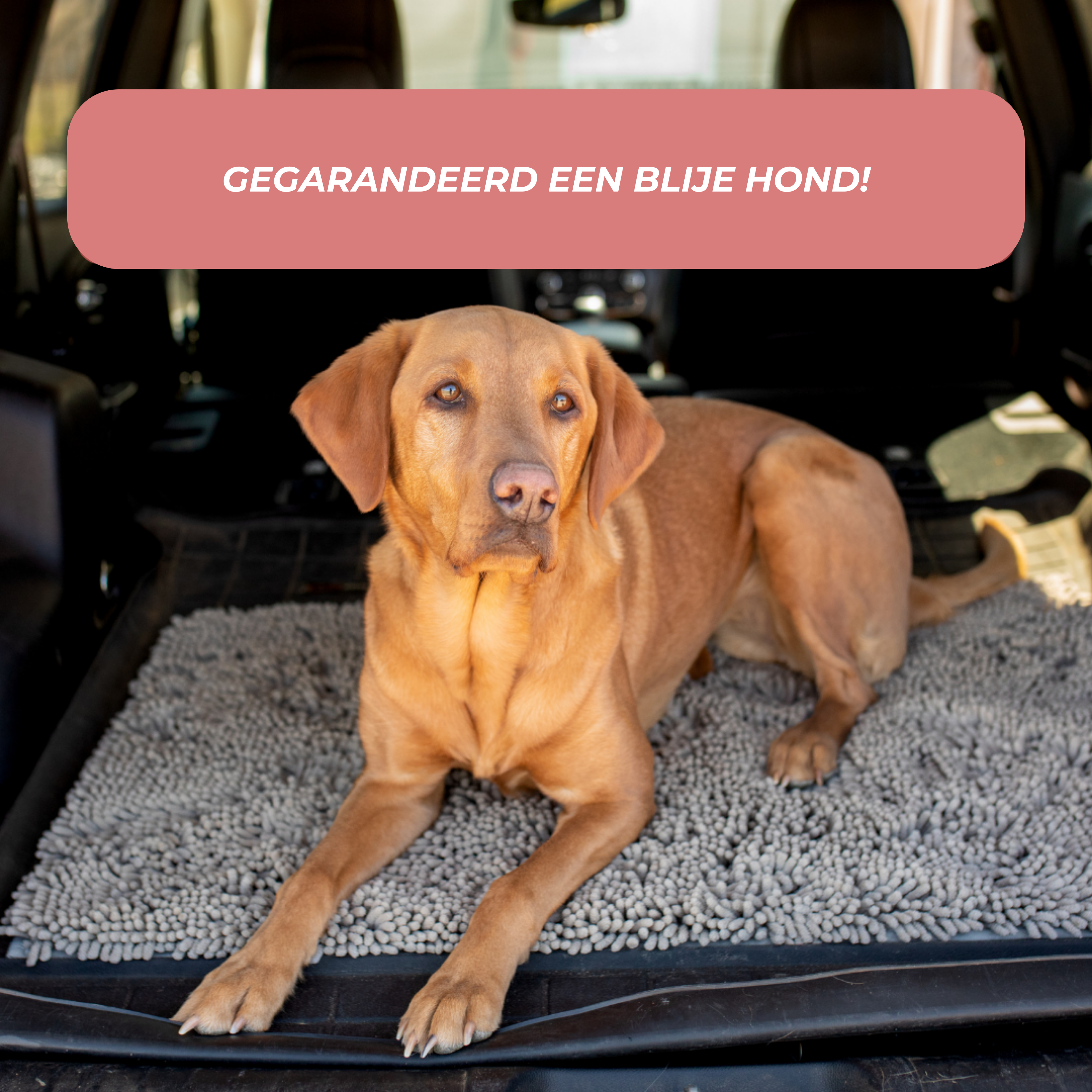 PootStop™ - Houd vuile pootjes bij de deur