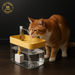 HydraPaw™ - Drinkfontein die hydratatie bevordert