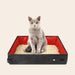 TravelTidy™ - Opvouwbare Kattenbak