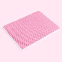 PawPad™ - Innovatieve Kattenbak Mat