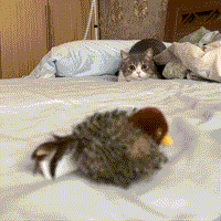SpeelMus™ - Realistische Simulatie Vogel voor Katten - Kleine Mus