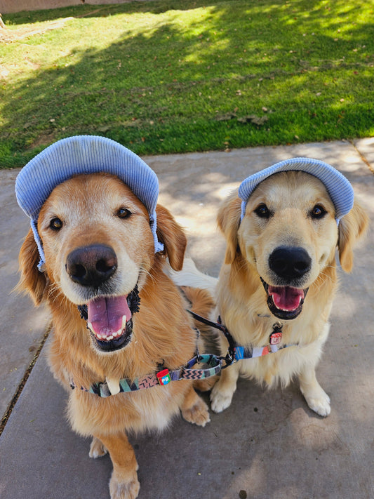 PawCap™ - Ultra Schattig Honden Petje