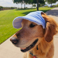 PawCap™ - Ultra Schattig Honden Petje